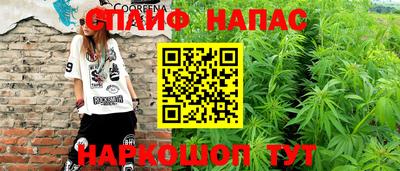 скорость Будённовск