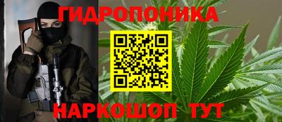 скорость Будённовск