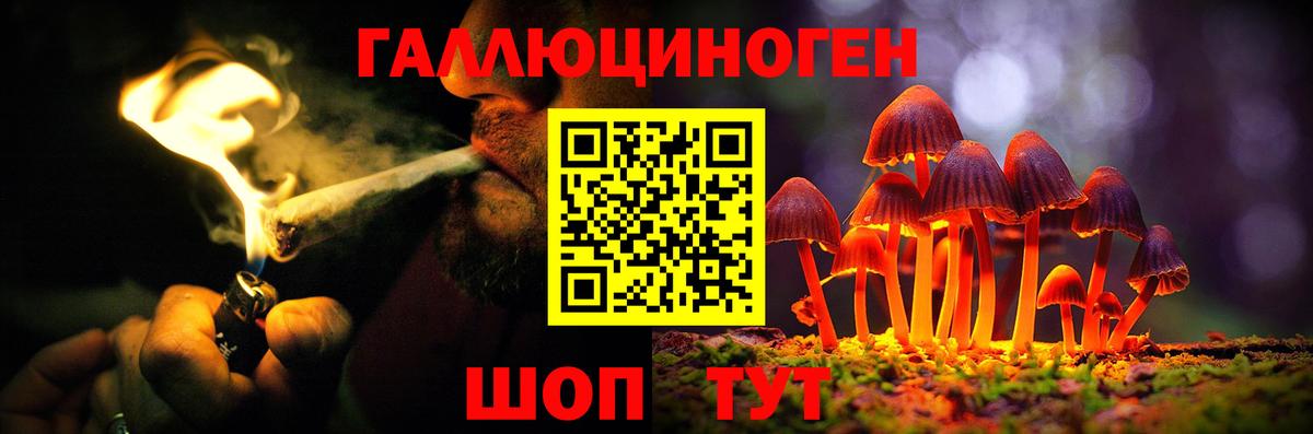 Галлюциногенные грибы прущие грибы  Вход с VPN  Реж 